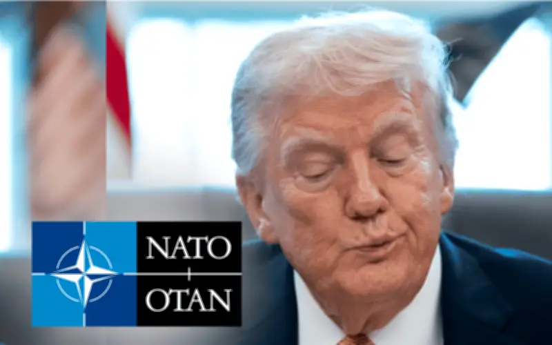 Trump afirma que EU no requiere apoyo de la OTAN en Ormuz tras rechazo aliado