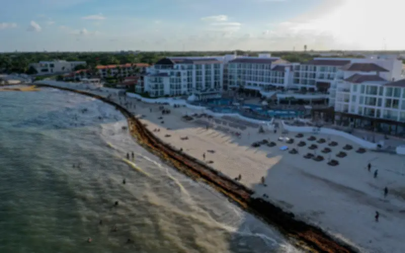 Turismo en el Caribe mexicano se mantiene robusto pese a violencia tras caída de 'El Mencho'