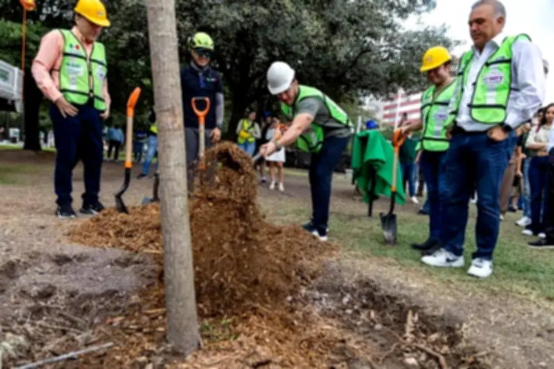 Un millón de árboles plantados en México: ¿realidad o promesa vacía?