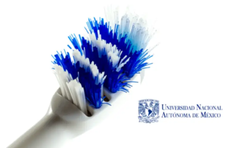 UNAM revela método correcto para desinfectar el cepillo de dientes y prevenir infecciones