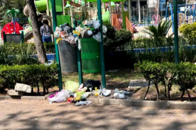 Vecinos de Benito Juárez denuncian abandono y falta de mantenimiento en parque público