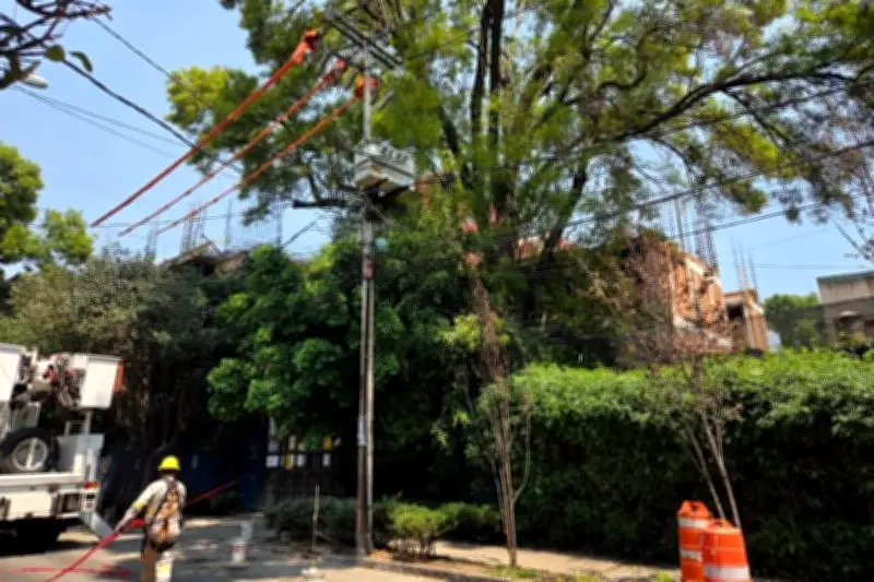 Vecinos de la CDMX protestan por poda drástica de árbol histórico en la colonia Del Valle