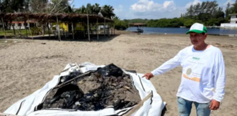 Veracruz: Pobladores y Marina retiran 7 toneladas de chapopote en playas contaminadas