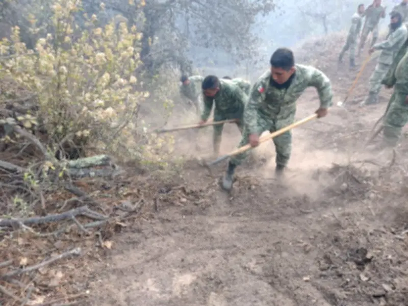Veracruz registra 23 incendios forestales en 2026; alertan por temporada crítica