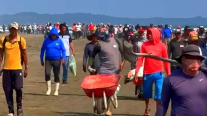 Veracruzanos limpian playas tras derrame de hidrocarburo para rescatar turismo de Semana Santa