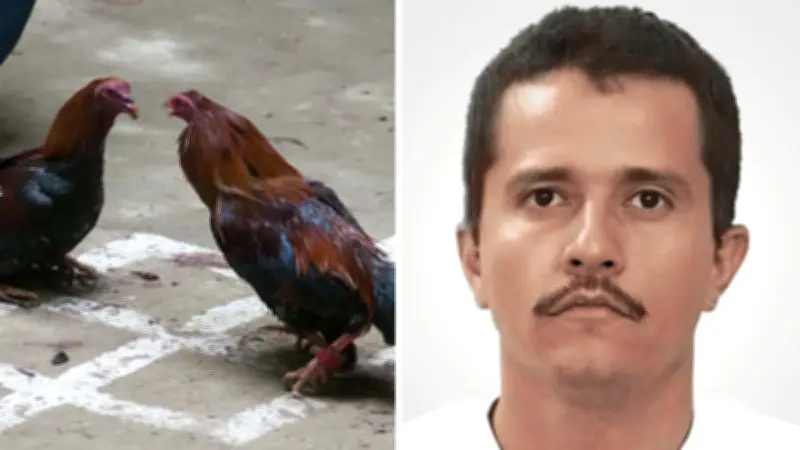Video inédito del 'Mencho' revela posible origen del apodo 'Señor de los Gallos'