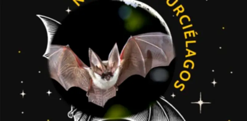 Viernes 13: Vive una 'Noche de Murciélagos' en Xochimilco, CDMX