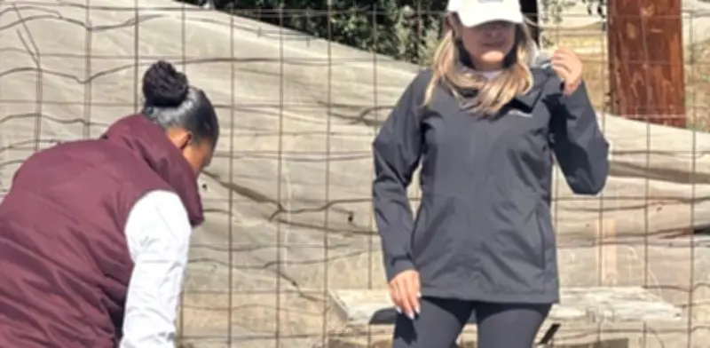 Vinculan a proceso a exdirectora del INVI de BCS por presunto desfalco de recursos públicos