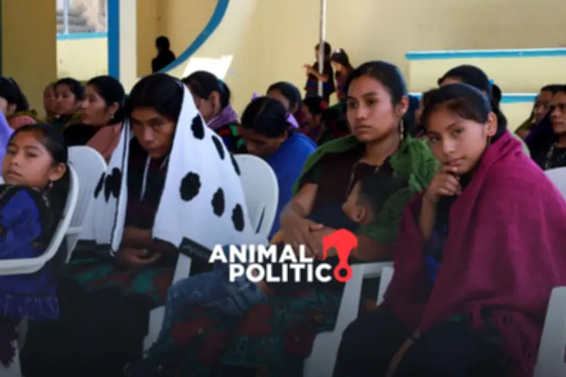 Violencia agrava desplazamiento forzado en Chihuahua, Guerrero y Michoacán