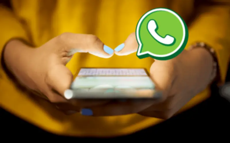 WhatsApp: Guía completa para eliminar archivos basura y liberar espacio en tu teléfono