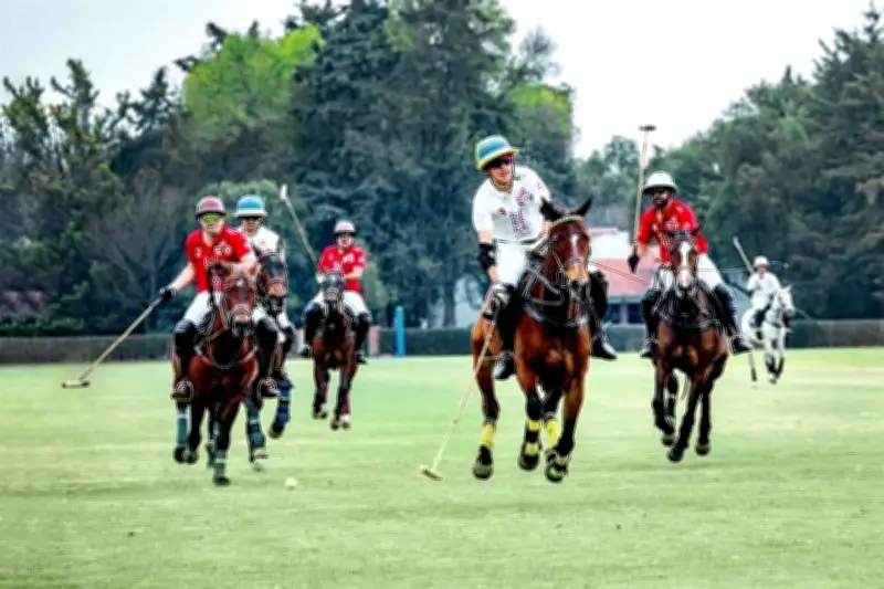 Éxito Total en la Séptima Edición de la Copa Ribera del Duero 2026