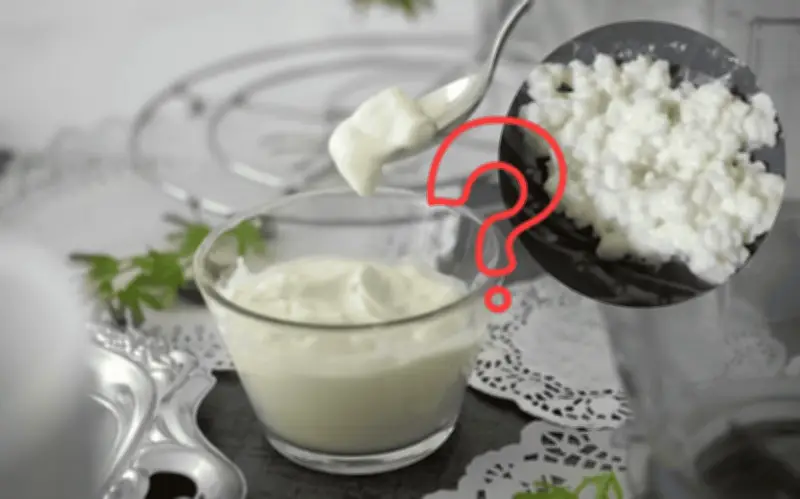 Yogur vs. Kéfir: Diferencias Clave en Proceso, Textura y Beneficios para la Salud
