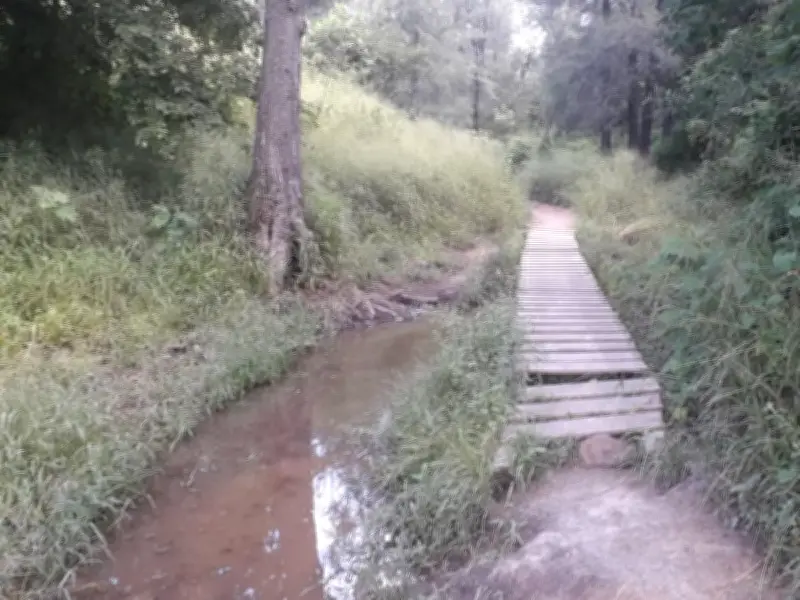 Zapopan protege 254 hectáreas del bosque El Centinela como área natural municipal