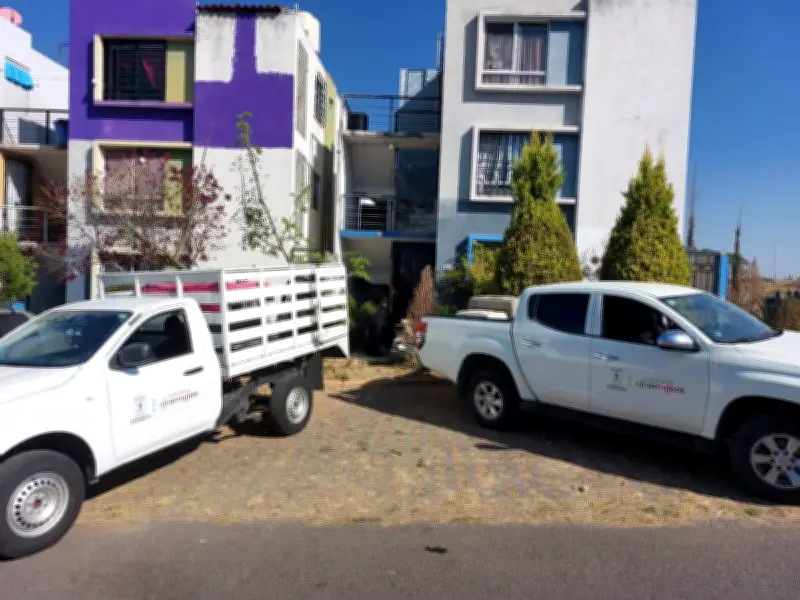 Zapopan y Fiscalía rescatan perros y gatos en situación vulnerable en Valle de los Molinos