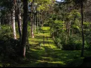 Agricultura impulsa suelos sanos para garantizar cosechas y bienestar rural en México