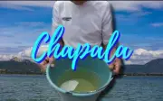 Alcaldes de Jalisco Confirman Descargas Contaminantes al Lago de Chapala