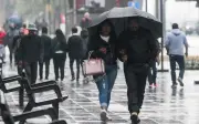 Alerta Amarilla en CDMX: Lluvias Fuertes y Granizo Afectan a 13 Alcaldías
