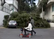 Alerta Amarilla en CDMX por fuertes vientos y frío intenso en madrugada del sábado