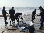 Autoridades ejecutan acciones integrales contra contaminación por hidrocarburos en Golfo de México