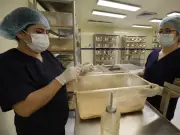 Bioterio de la UAEH: Ética y ciencia se unen en el cuidado de animales de laboratorio