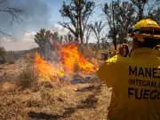 Bomberos de Guadalajara se capacitan para enfrentar incendios forestales en temporada de estiaje