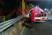 Bomberos sofocan incendios en terrenos baldíos de Monterrey y Santa Catarina