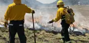 Brigadistas realizan quemas controladas en Amanalco para prevenir incendios forestales