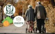 Calendario de Pagos de Pensiones IMSS e ISSSTE para Abril 2026: Fechas Clave