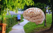 Caminar 30 minutos al día protege tu cerebro y memoria, según la ciencia