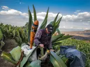 Carnaval de Milpa Alta celebra legado originario con gastronomía y danzas tradicionales