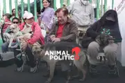 CDMX Fortalece Red de Clínicas y Hospital Veterinario para el Bienestar Animal