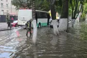CDMX Registra Inundaciones y Caída de Árboles por Lluvias Intensas