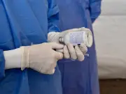 CEPANAF realizará jornada de servicios veterinarios gratuitos en Texcoco