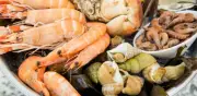 Consejos para comprar mariscos baratos y frescos durante la Cuaresma en México