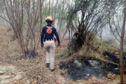 Controlan incendio en el Río Santa Catarina tras intensa labor de bomberos