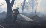 Controlan incendio forestal en Bosque El Centinela de Zapopan; afectó 3 hectáreas