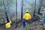 Controlan Incendio Forestal en la Sierra de Santiago, Nuevo León