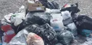 Crisis de Basura en Tláhuac: Vecinos Sufren Malos Olores y Fauna Nociva