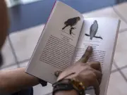 CUAltos presenta inventario de aves con 96 especies documentadas en campus universitario