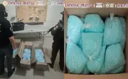 DEA felicita a México por incautación récord de 270 kilos de fentanilo en Colima