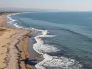 Derrame de hidrocarburo afecta 150 km de costa veracruzana con graves daños ambientales