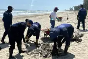 Derrame de petróleo afecta gravemente las playas de Veracruz, activan alerta ambiental