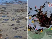 Derrame petrolero daña 630 km de costas mexicanas; limpieza solo en playas turísticas