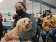 Edomex lanza Semana Nacional de Vacunación Antirrábica 2026 con 2.8 millones de dosis