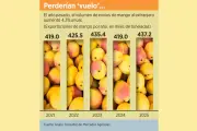 Estados Unidos impone bloqueo a importaciones de mango mexicano por detección de plaga