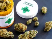Estudio Global Cuestiona la Eficacia del Cannabis Medicinal para Trastornos Mentales