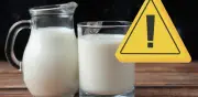 FDA retira leche Wawa por posible contaminación con plástico en Estados Unidos