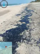 Gobierno federal destina 225 millones de pesos para atender derrame de hidrocarburos en Golfo de México