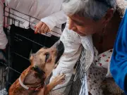 Guadalajara alerta por golpes de calor en mascotas ante temperaturas extremas