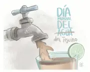 Hallan cartuchos de alto poder en zona residencial de Guadalajara